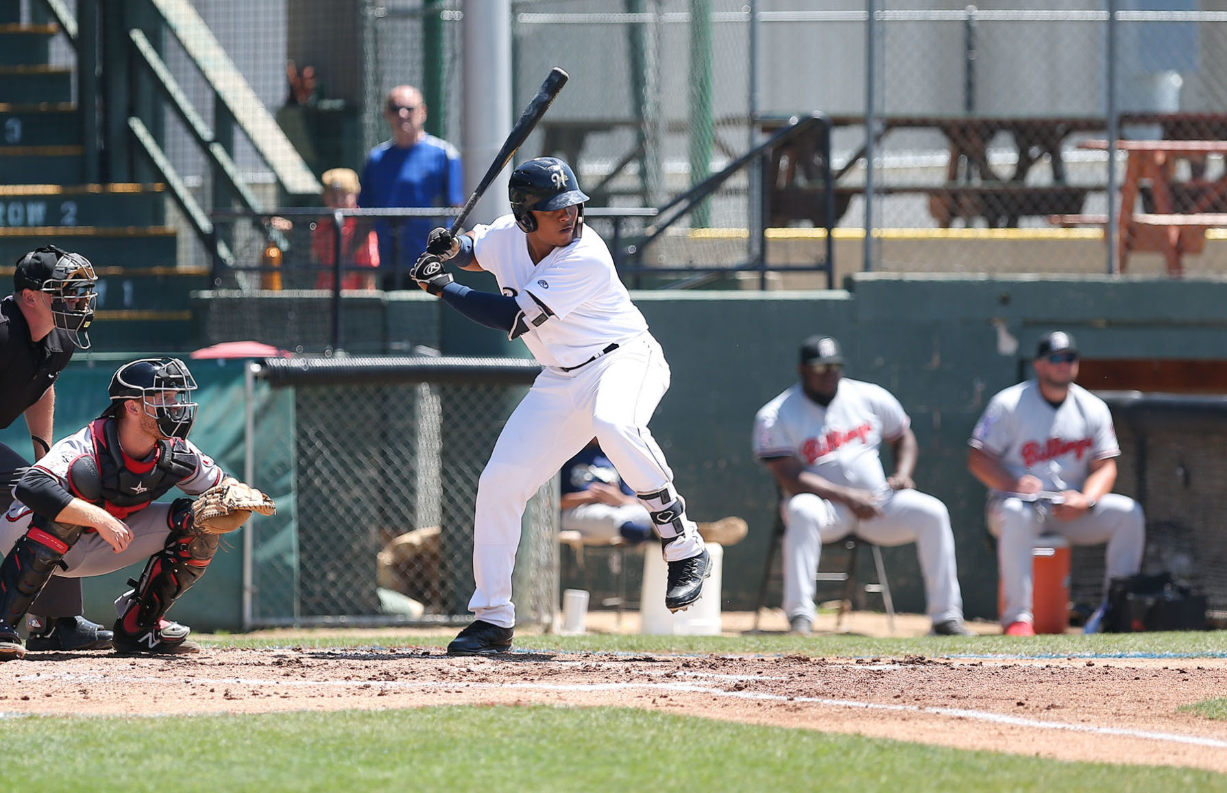 Helena Brewers vs. Billings Mustangs